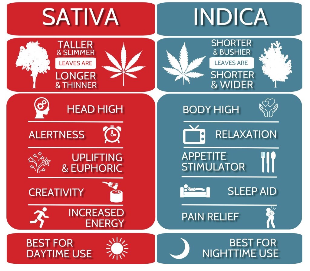 chart of Indica vs sativa attributes